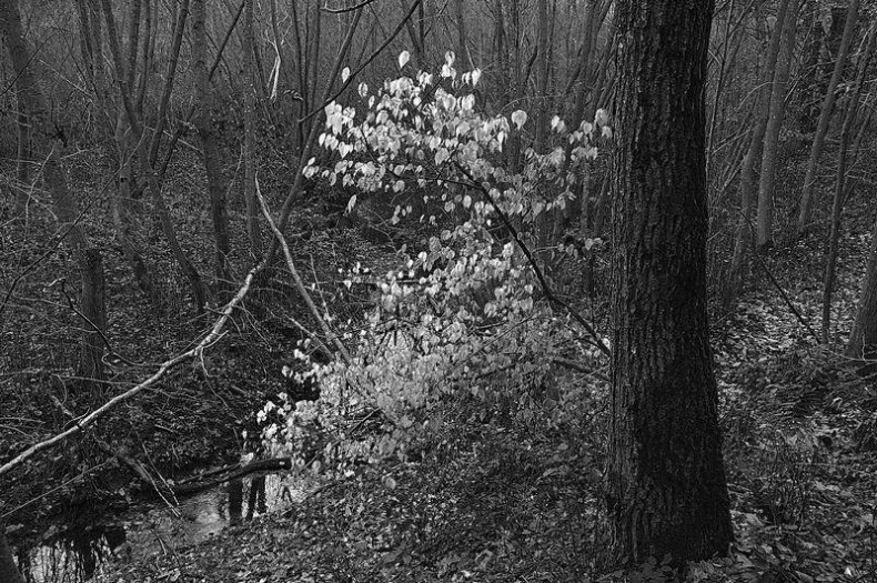 Иллюстрация к книге — Вокруг света [i_001.jpg]