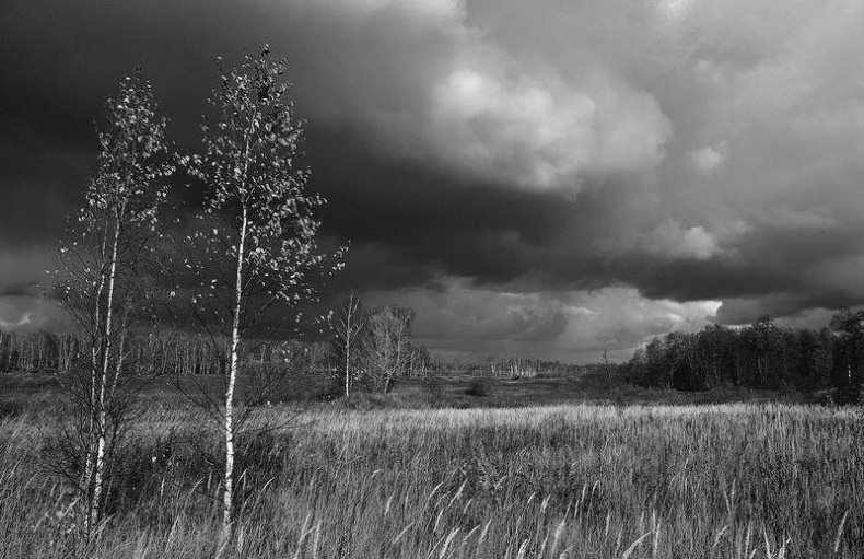 Иллюстрация к книге — Вокруг света [i_003.jpg]