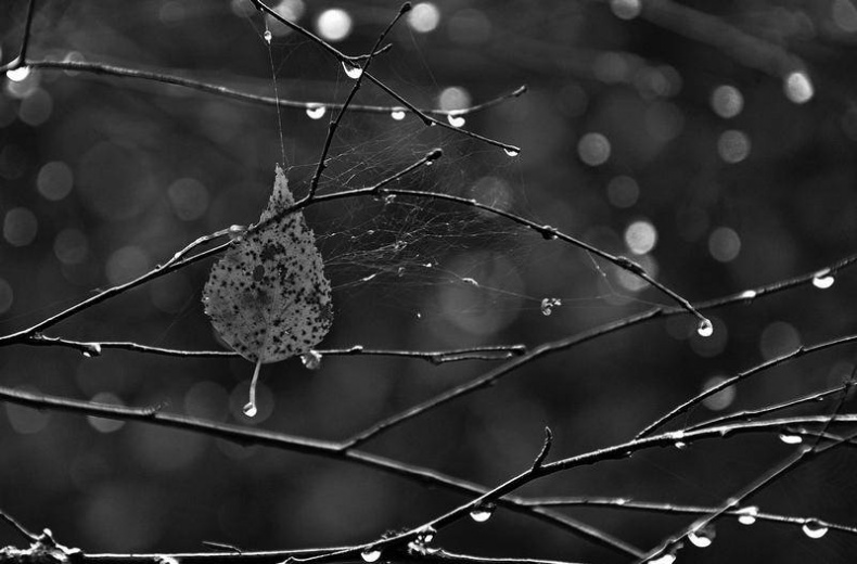 Иллюстрация к книге — Вокруг света [i_004.jpg]