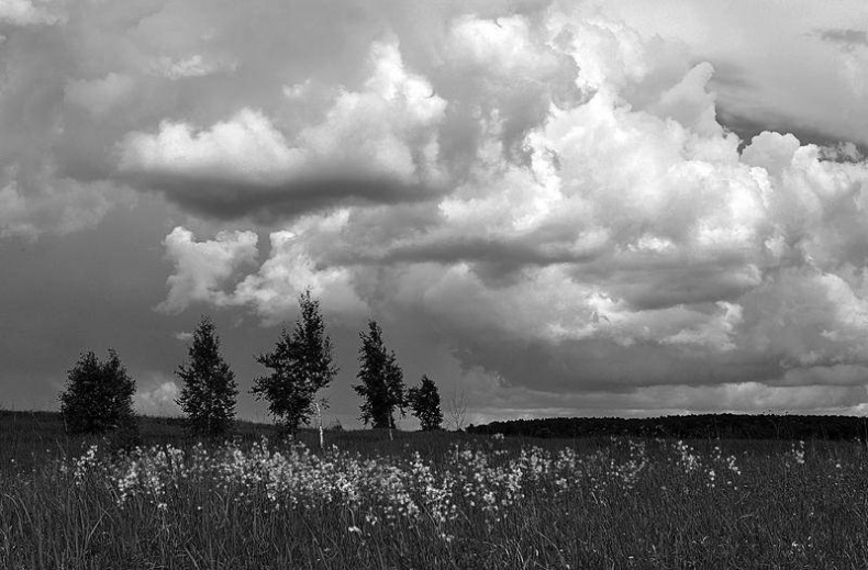 Иллюстрация к книге — Вокруг света [i_006.jpg]