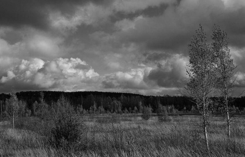 Иллюстрация к книге — Вокруг света [i_007.jpg]