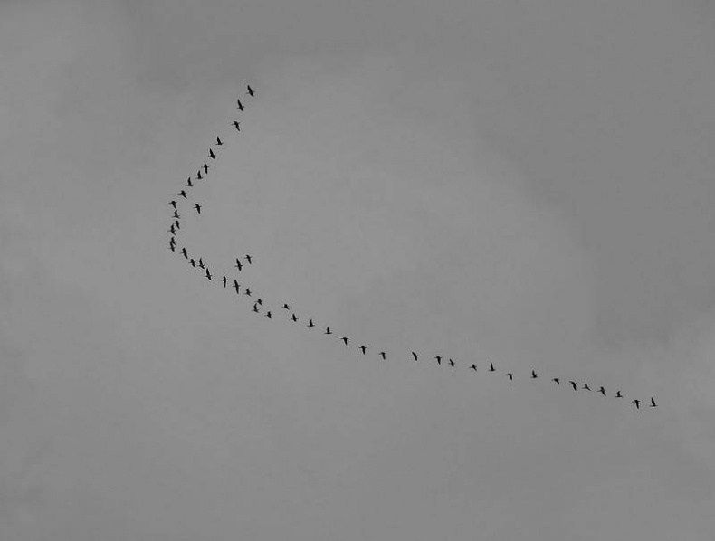 Иллюстрация к книге — Вокруг света [i_008.jpg]