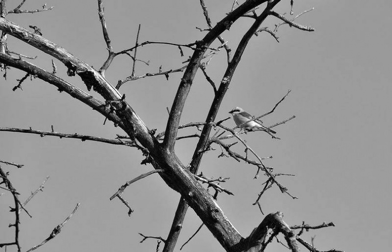 Иллюстрация к книге — Вокруг света [i_009.jpg]