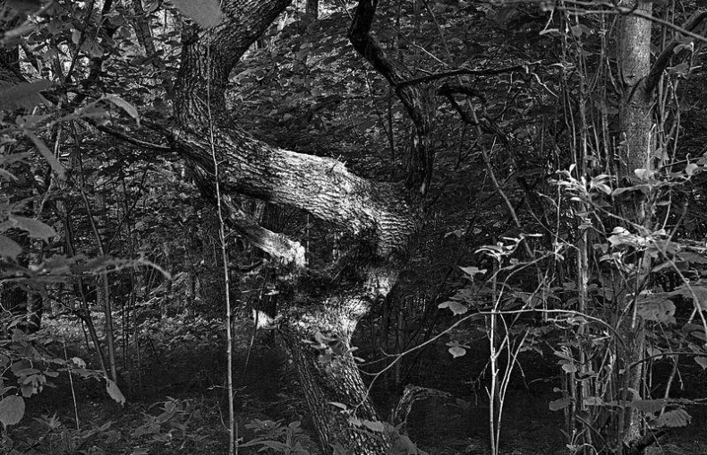 Иллюстрация к книге — Вокруг света [i_010.jpg]