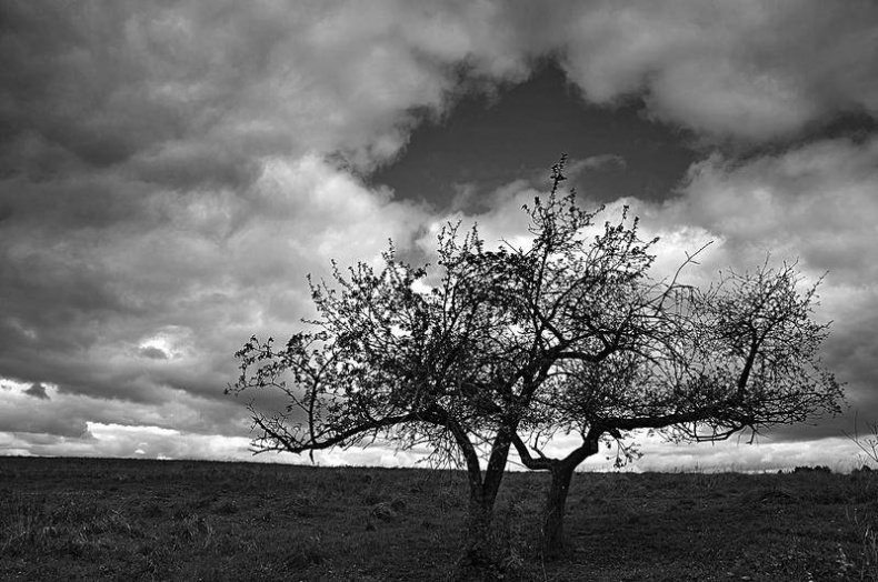 Иллюстрация к книге — Вокруг света [i_016.jpg]