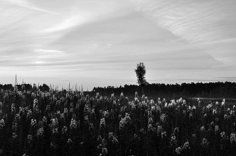 Иллюстрация к книге — Вокруг света [i_018.jpg]