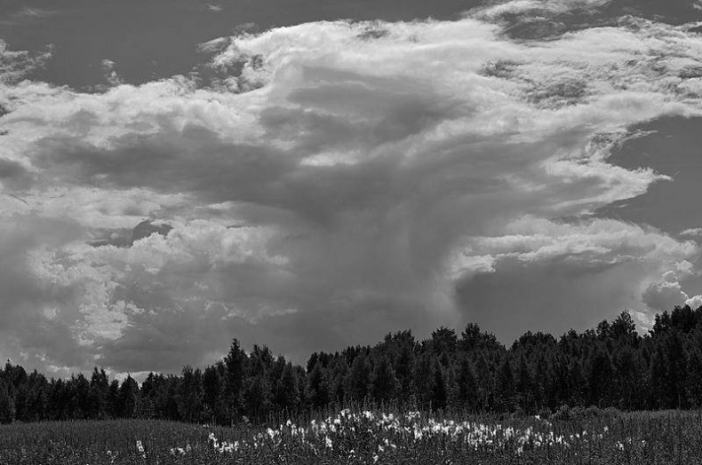 Иллюстрация к книге — Вокруг света [i_025.jpg]