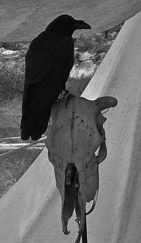 Иллюстрация к книге — Вокруг света [i_031.jpg]