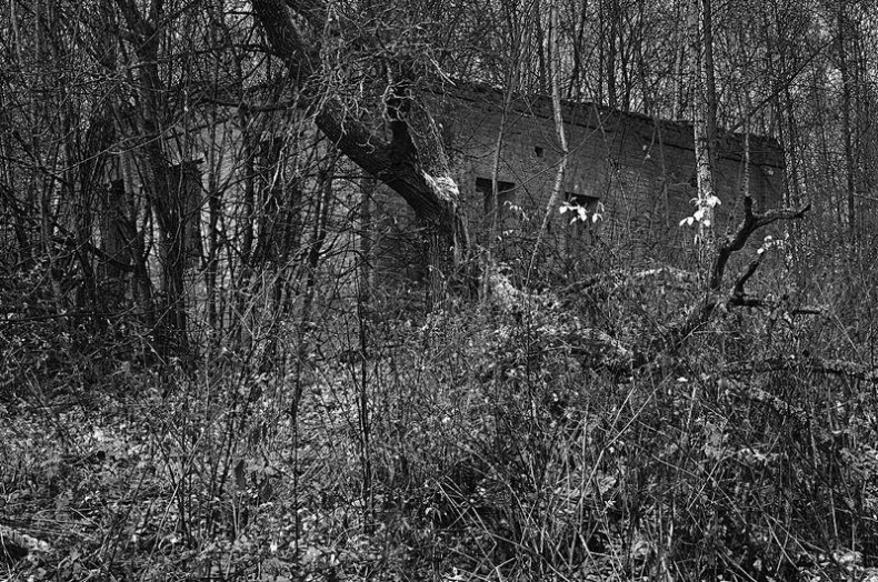 Иллюстрация к книге — Вокруг света [i_035.jpg]