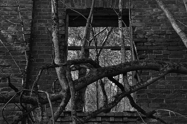 Иллюстрация к книге — Вокруг света [i_036.jpg]