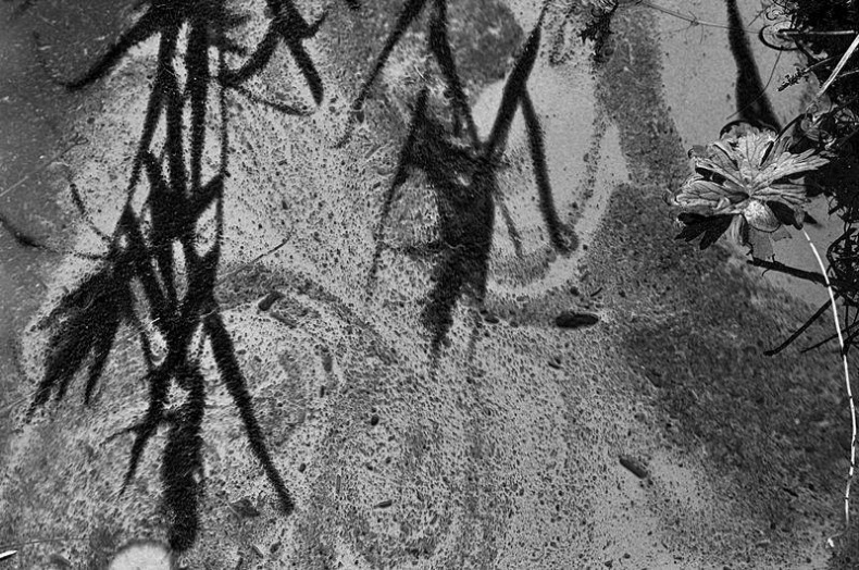 Иллюстрация к книге — Вокруг света [i_039.jpg]