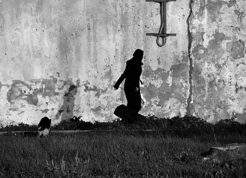 Иллюстрация к книге — Вокруг света [i_043.jpg]