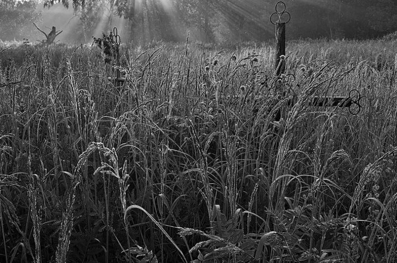 Иллюстрация к книге — Вокруг света [i_048.jpg]