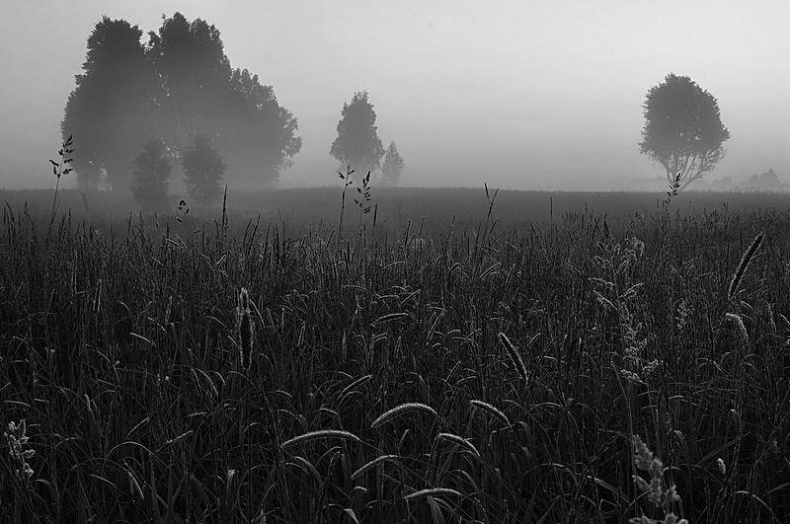 Иллюстрация к книге — Вокруг света [i_050.jpg]