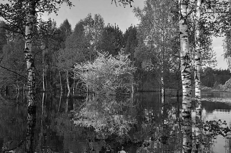 Иллюстрация к книге — Вокруг света [i_053.jpg]