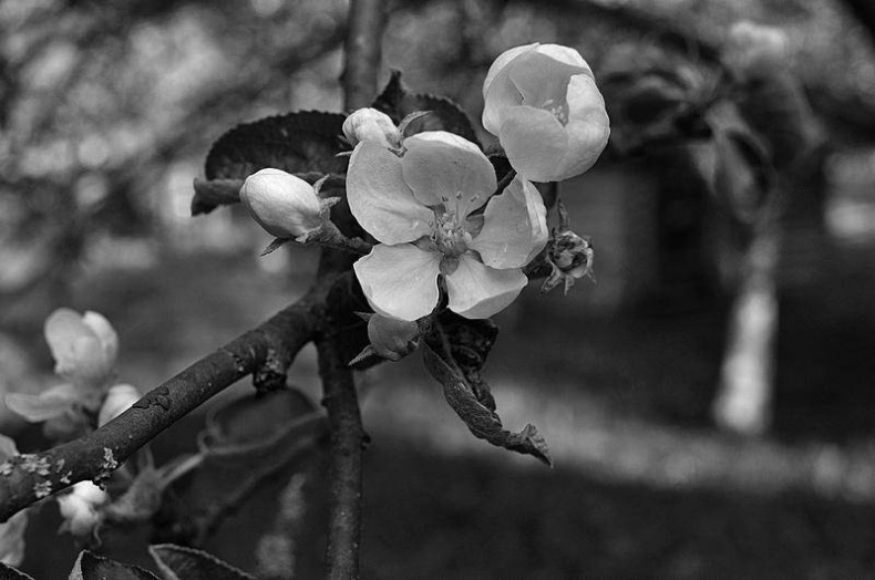 Иллюстрация к книге — Вокруг света [i_058.jpg]