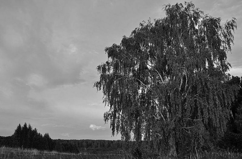 Иллюстрация к книге — Вокруг света [i_059.jpg]