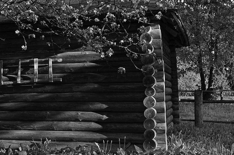 Иллюстрация к книге — Вокруг света [i_061.jpg]