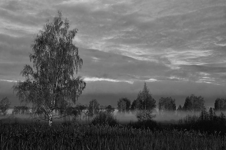 Иллюстрация к книге — Вокруг света [i_071.jpg]