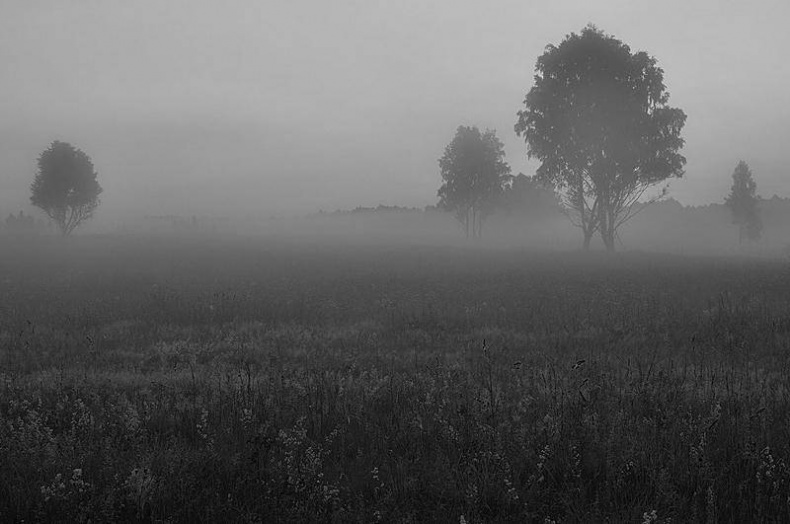 Иллюстрация к книге — Вокруг света [i_073.jpg]