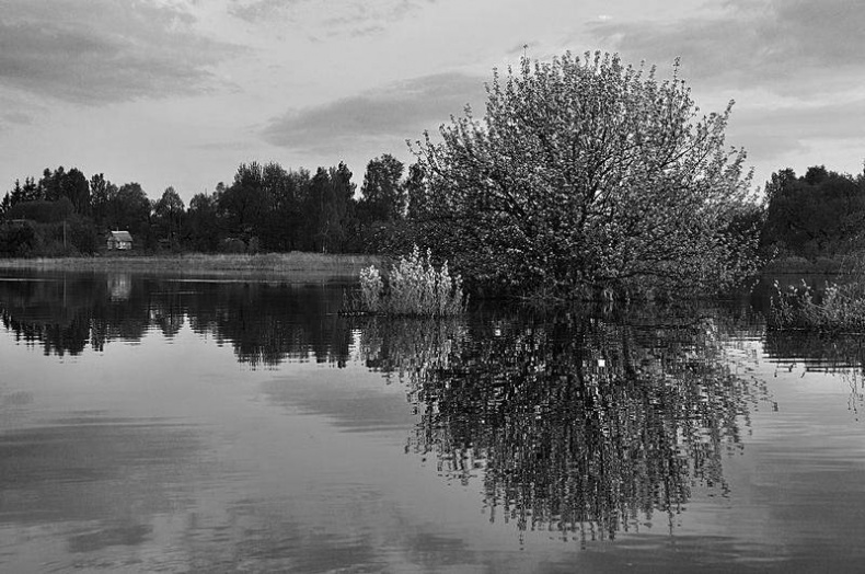 Иллюстрация к книге — Вокруг света [i_076.jpg]