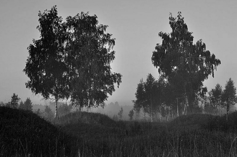 Иллюстрация к книге — Вокруг света [i_078.jpg]