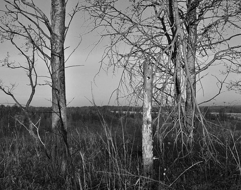 Иллюстрация к книге — Вокруг света [i_079.jpg]