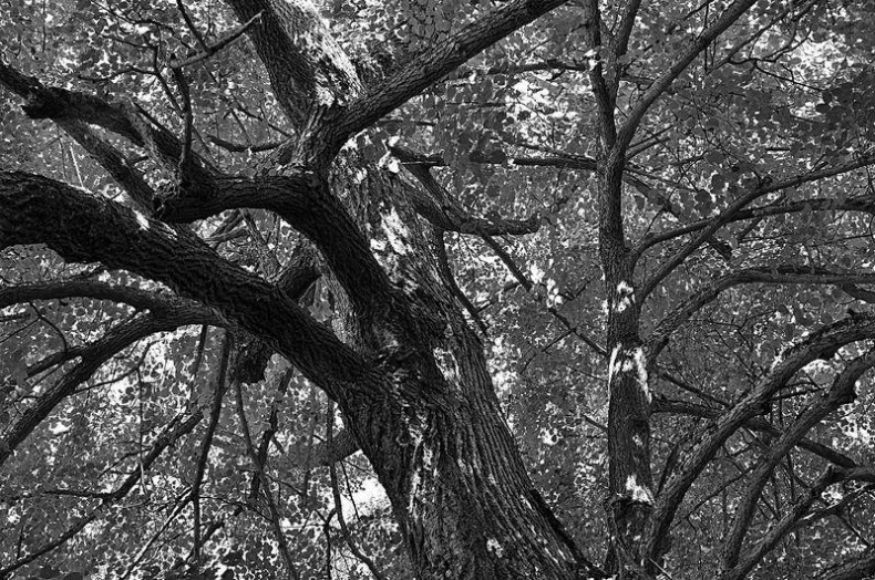 Иллюстрация к книге — Вокруг света [i_080.jpg]