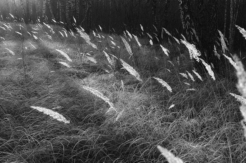 Иллюстрация к книге — Вокруг света [i_081.jpg]