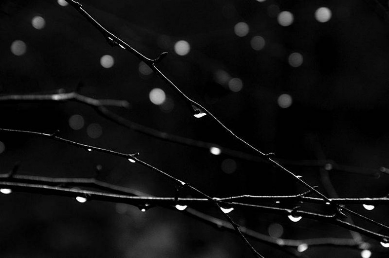 Иллюстрация к книге — Вокруг света [i_082.jpg]