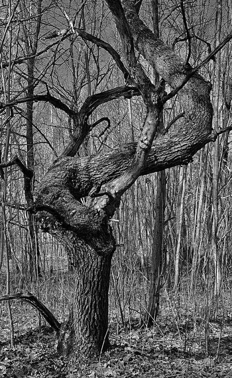 Иллюстрация к книге — Вокруг света [i_087.jpg]