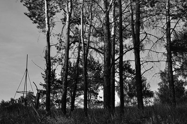 Иллюстрация к книге — Вокруг света [i_088.jpg]