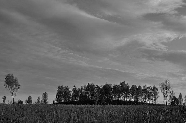 Иллюстрация к книге — Вокруг света [i_089.jpg]