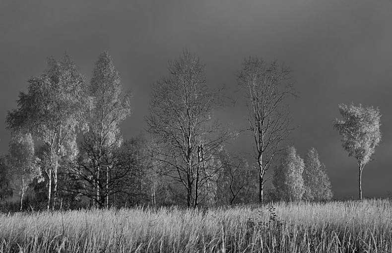 Иллюстрация к книге — Вокруг света [i_091.jpg]