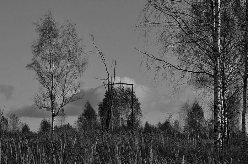 Иллюстрация к книге — Вокруг света [i_092.jpg]