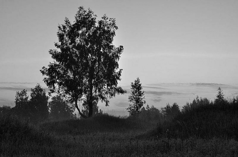 Иллюстрация к книге — Вокруг света [i_093.jpg]