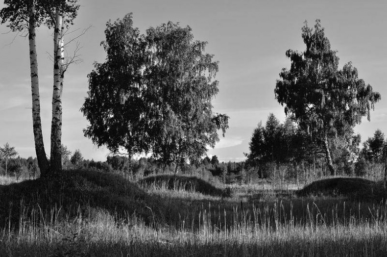 Иллюстрация к книге — Вокруг света [i_094.jpg]