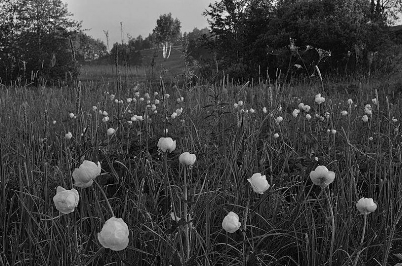 Иллюстрация к книге — Вокруг света [i_095.jpg]