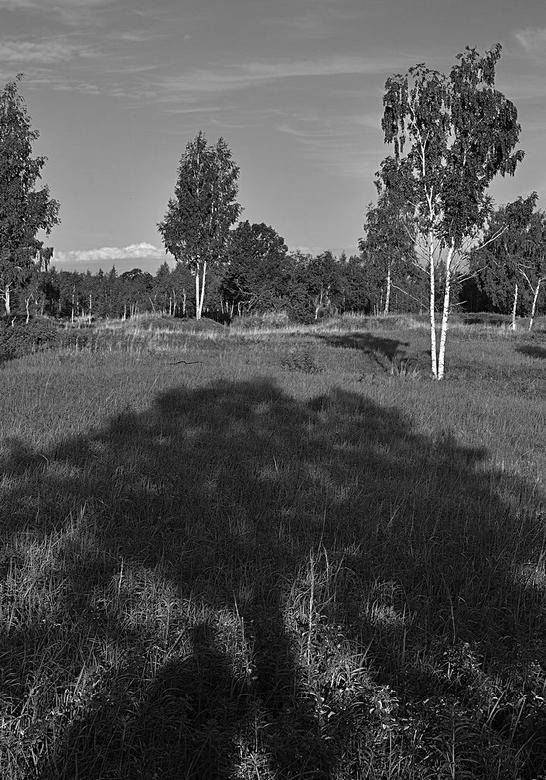 Иллюстрация к книге — Вокруг света [i_096.jpg]