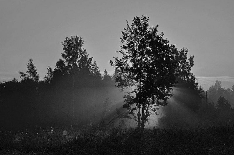 Иллюстрация к книге — Вокруг света [i_097.jpg]