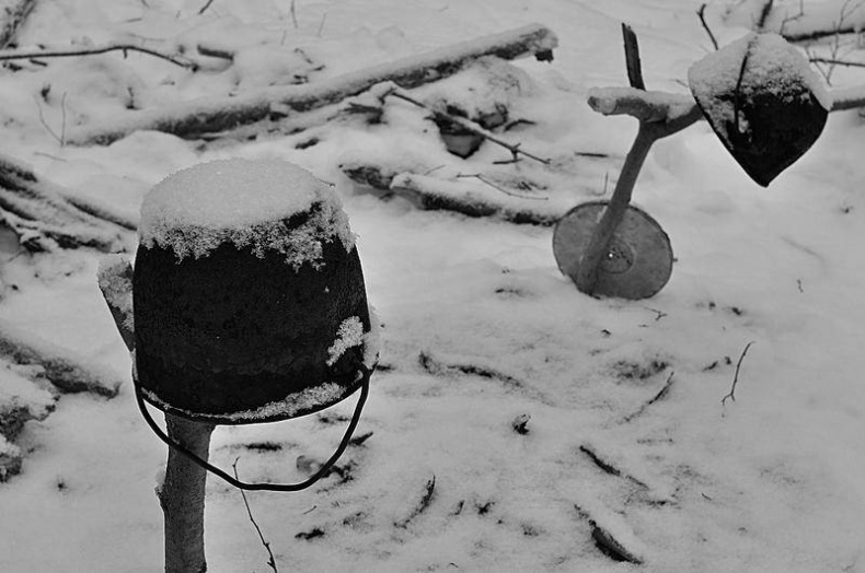 Иллюстрация к книге — Вокруг света [i_099.jpg]