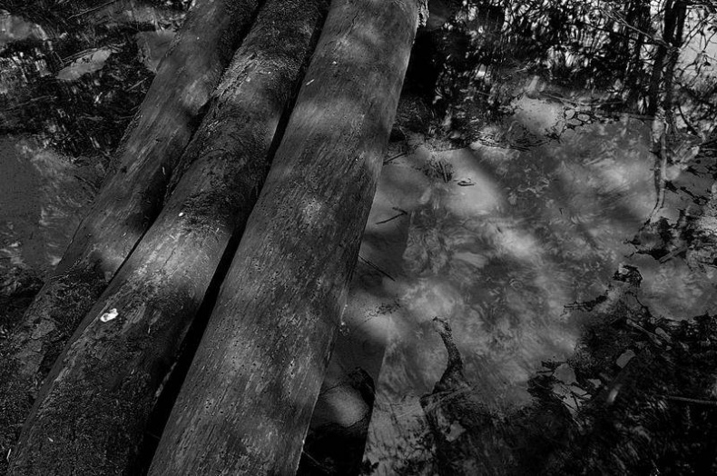 Иллюстрация к книге — Вокруг света [i_109.jpg]