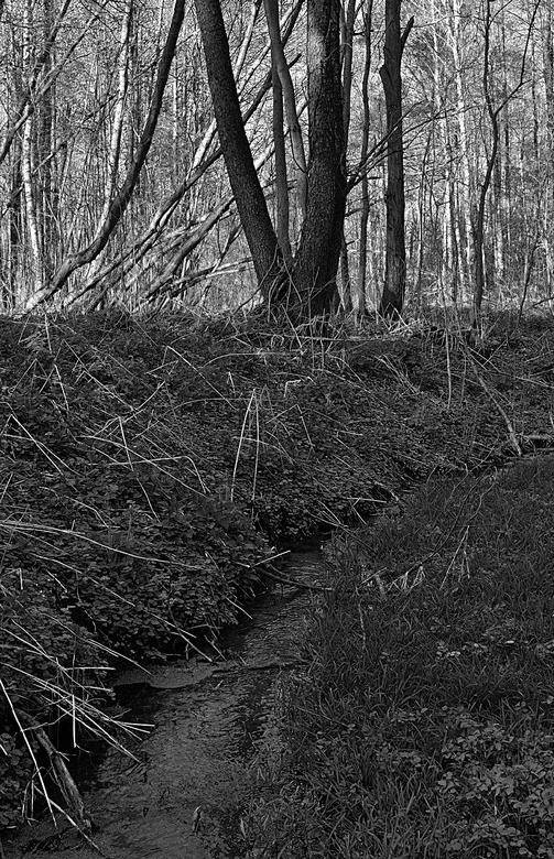 Иллюстрация к книге — Вокруг света [i_111.jpg]