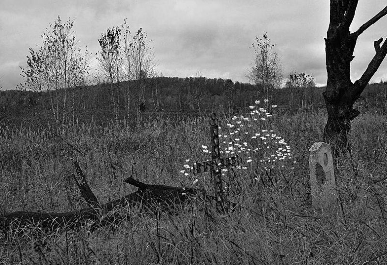 Иллюстрация к книге — Вокруг света [i_115.jpg]