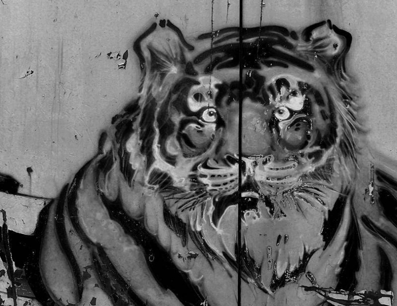 Иллюстрация к книге — Вокруг света [i_118.jpg]