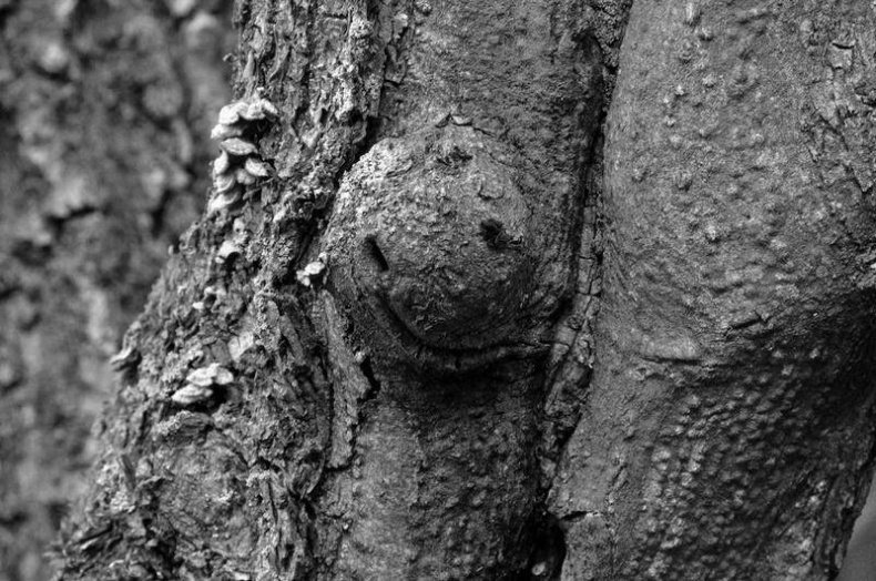 Иллюстрация к книге — Вокруг света [i_123.jpg]