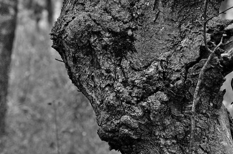 Иллюстрация к книге — Вокруг света [i_124.jpg]