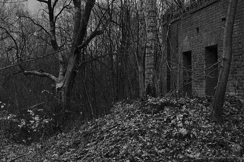 Иллюстрация к книге — Вокруг света [i_126.jpg]