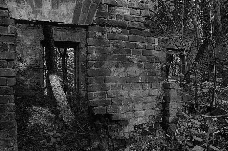 Иллюстрация к книге — Вокруг света [i_129.jpg]