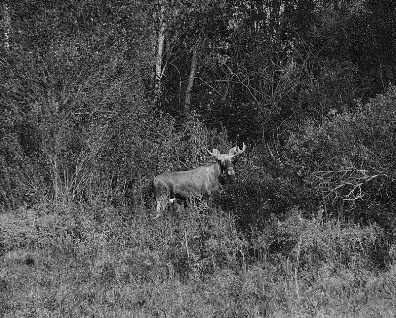 Иллюстрация к книге — Вокруг света [i_131.jpg]